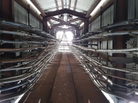 ��� �� ������������ ����������� ������� ��� ��������